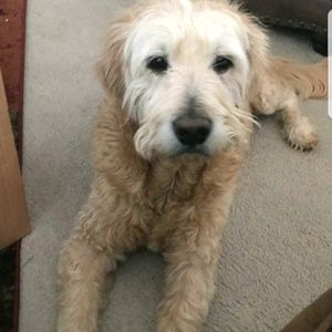 Meet your Posher, Jen